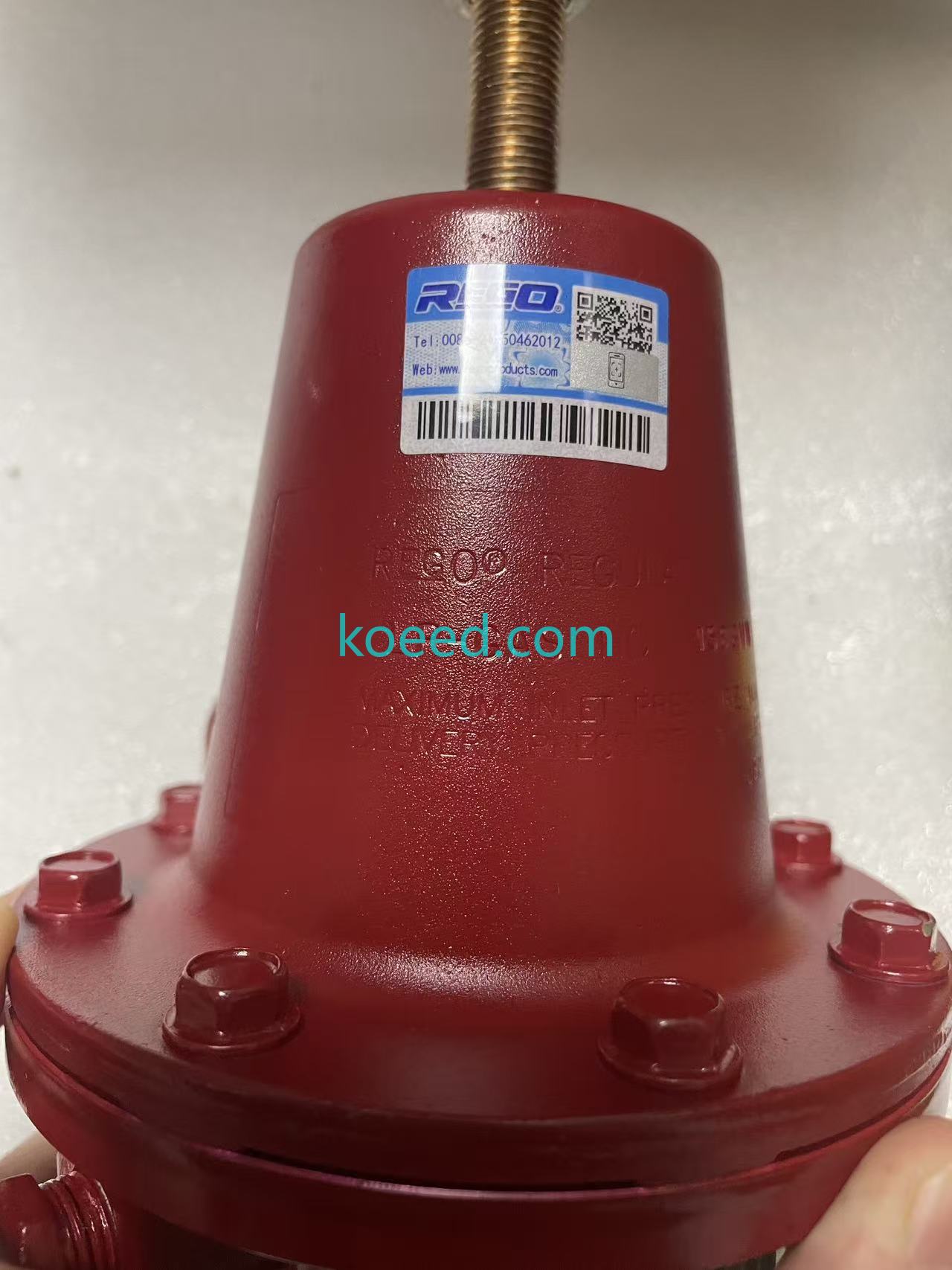 REGO 1588VN - Koeed Fashion View